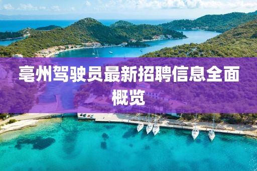 亳州駕駛員最新招聘信息全面概覽