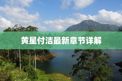 黃星付潔最新章節(jié)詳解