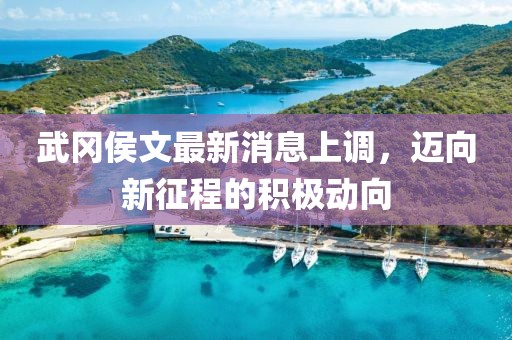 武岡侯文最新消息上調(diào)，邁向新征程的積極動(dòng)向