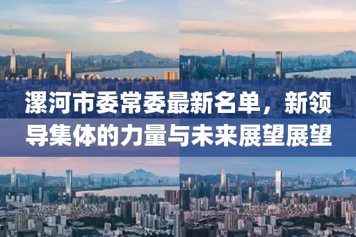 漯河市委常委最新名單，新領(lǐng)導(dǎo)集體的力量與未來展望展望