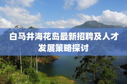 白馬井海花島最新招聘及人才發(fā)展策略探討
