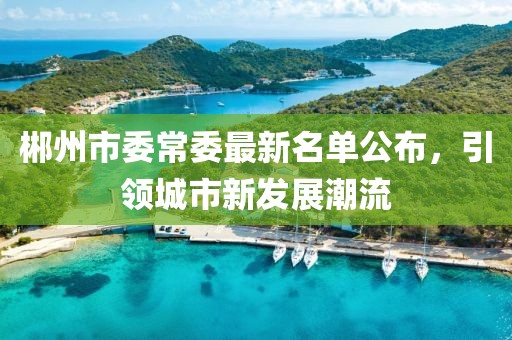 郴州市委常委最新名單公布，引領(lǐng)城市新發(fā)展潮流
