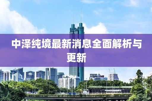 中澤純境最新消息全面解析與更新