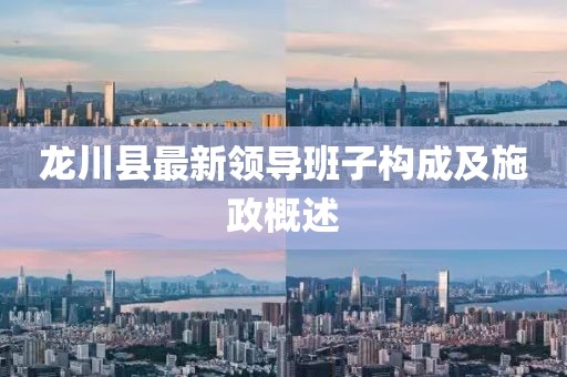 龍川縣最新領(lǐng)導(dǎo)班子構(gòu)成及施政概述