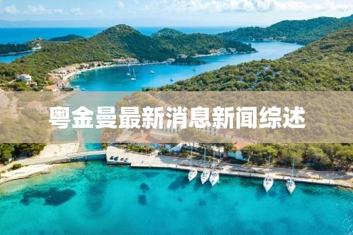 粵金曼最新消息新聞綜述