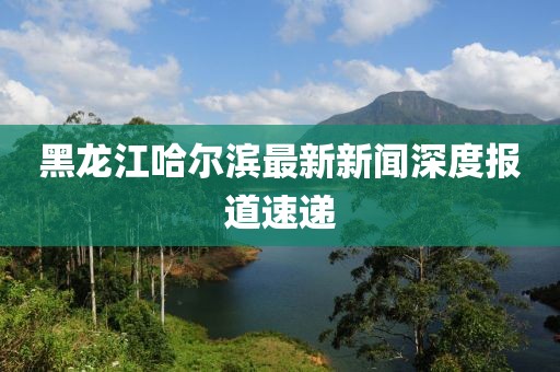 黑龍江哈爾濱最新新聞深度報道速遞