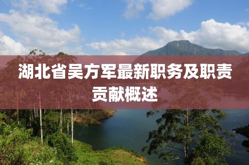 湖北省吳方軍最新職務(wù)及職責(zé)貢獻(xiàn)概述