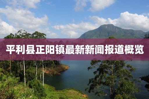 平利縣正陽鎮(zhèn)最新新聞報道概覽