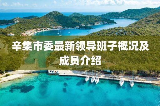 辛集市委最新領(lǐng)導(dǎo)班子概況及成員介紹