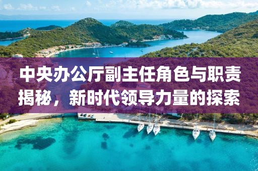 中央辦公廳副主任角色與職責(zé)揭秘，新時代領(lǐng)導(dǎo)力量的探索