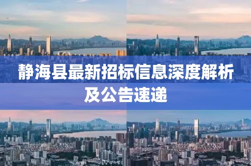 靜?？h最新招標(biāo)信息深度解析及公告速遞