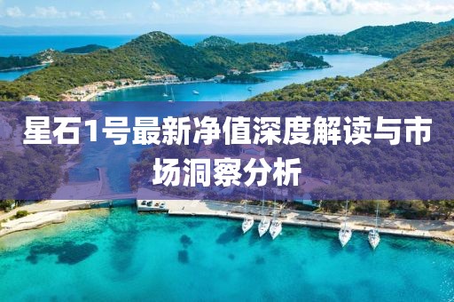 星石1號(hào)最新凈值深度解讀與市場(chǎng)洞察分析
