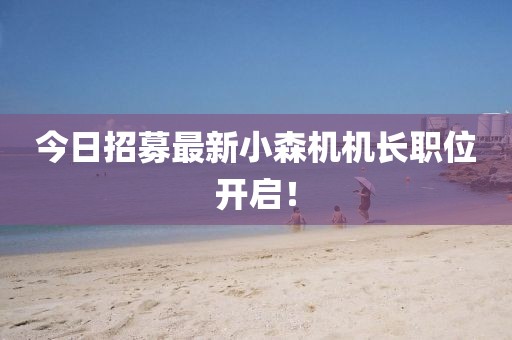 今日招募最新小森機機長職位開啟！