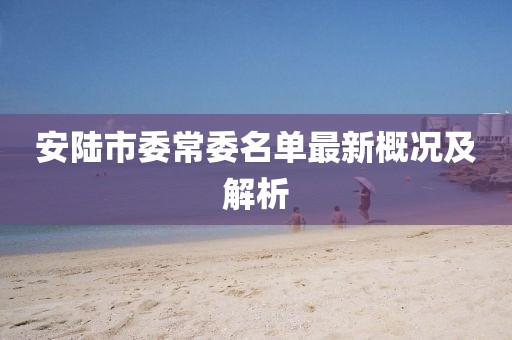 安陸市委常委名單最新概況及解析