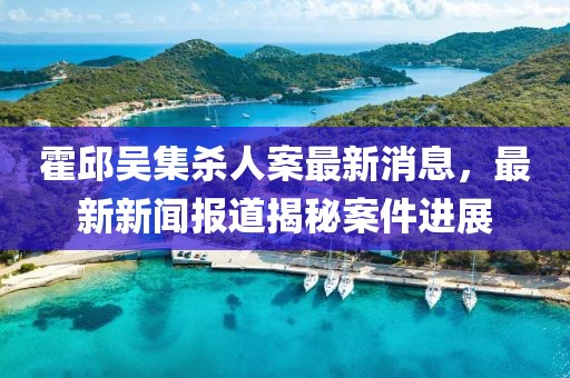 霍邱吳集殺人案最新消息，最新新聞報道揭秘案件進(jìn)展