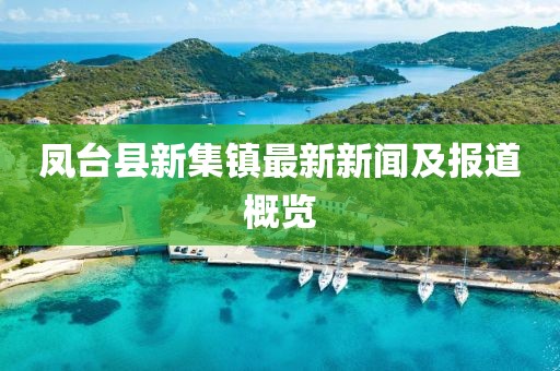 鳳臺縣新集鎮(zhèn)最新新聞及報道概覽