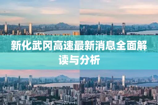 新化武岡高速最新消息全面解讀與分析