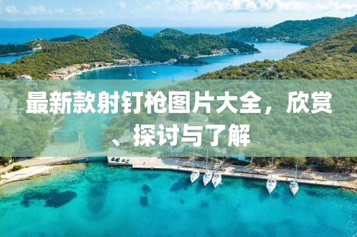 最新款射釘槍圖片大全，欣賞、探討與了解