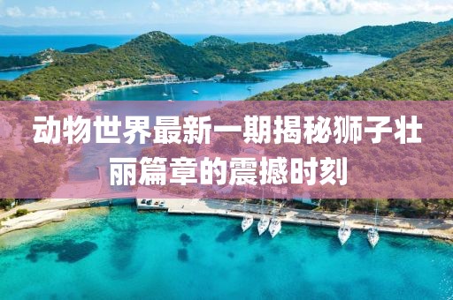 動物世界最新一期揭秘獅子壯麗篇章的震撼時刻