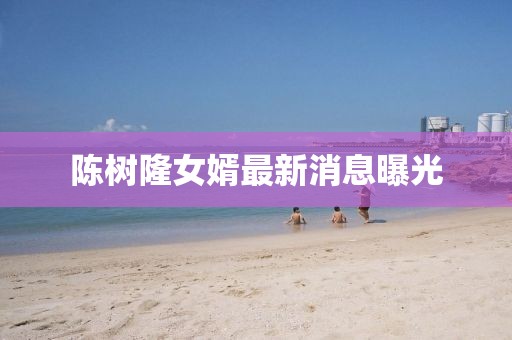 陳樹(shù)隆女婿最新消息曝光