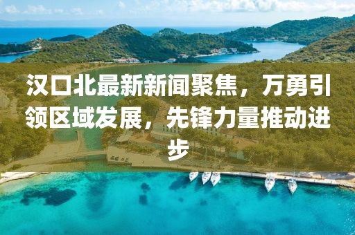 漢口北最新新聞聚焦，萬(wàn)勇引領(lǐng)區(qū)域發(fā)展，先鋒力量推動(dòng)進(jìn)步