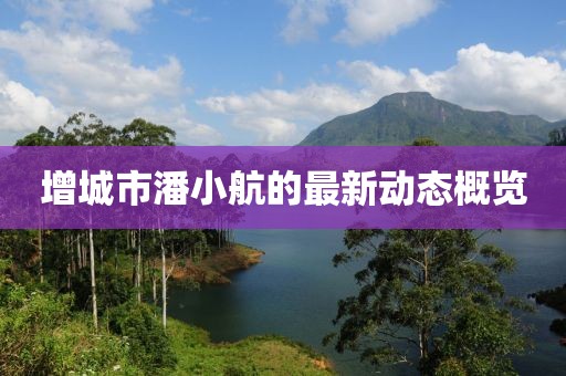 增城市潘小航的最新動態(tài)概覽