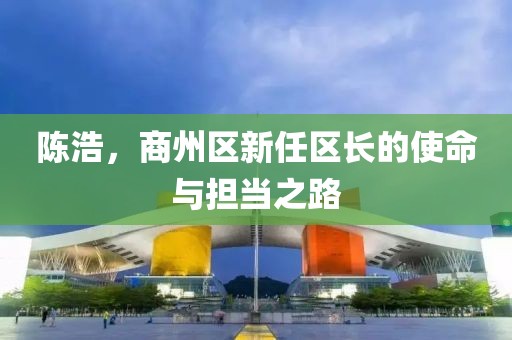 陳浩，商州區(qū)新任區(qū)長(zhǎng)的使命與擔(dān)當(dāng)之路