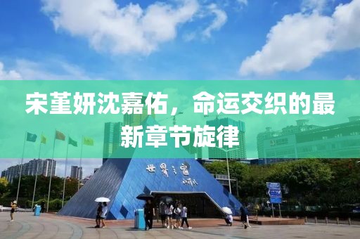 宋堇妍沈嘉佑，命運(yùn)交織的最新章節(jié)旋律