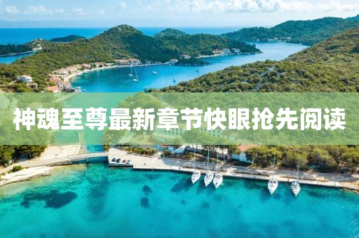 神魂至尊最新章節(jié)快眼搶先閱讀