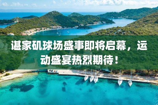 諶家磯球場盛事即將啟幕，運(yùn)動盛宴熱烈期待！