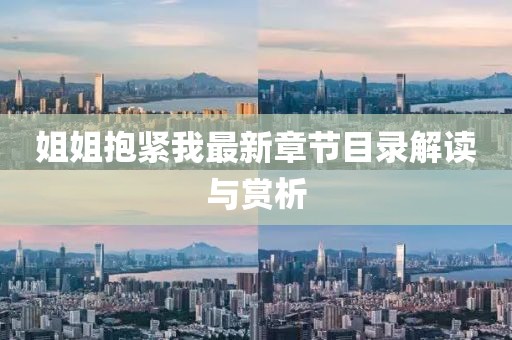姐姐抱緊我最新章節(jié)目錄解讀與賞析