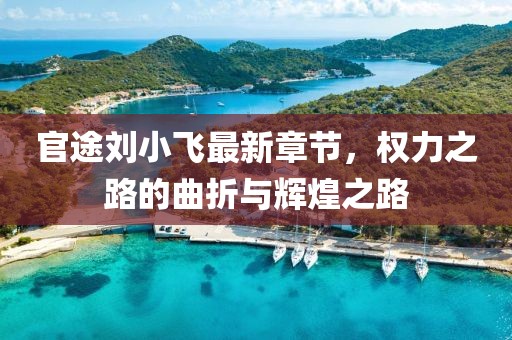 官途劉小飛最新章節(jié)，權(quán)力之路的曲折與輝煌之路