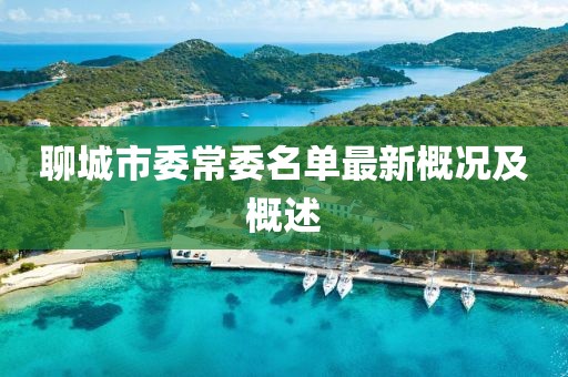 聊城市委常委名單最新概況及概述