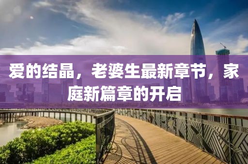愛的結(jié)晶，老婆生最新章節(jié)，家庭新篇章的開啟