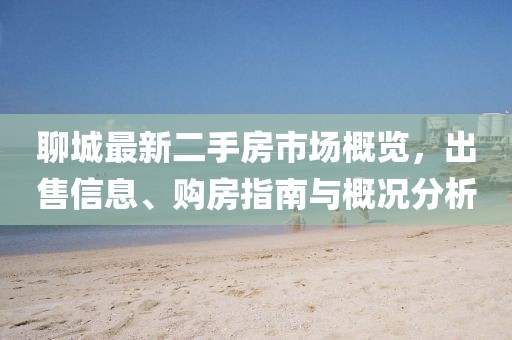 聊城最新二手房市場概覽，出售信息、購房指南與概況分析