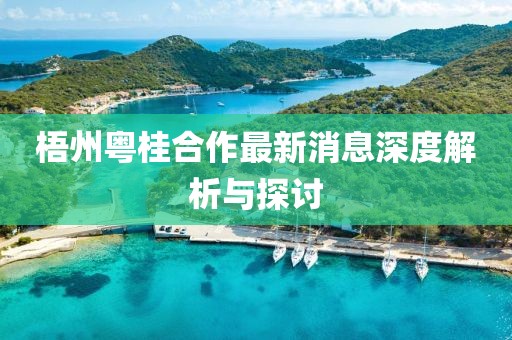 梧州粵桂合作最新消息深度解析與探討
