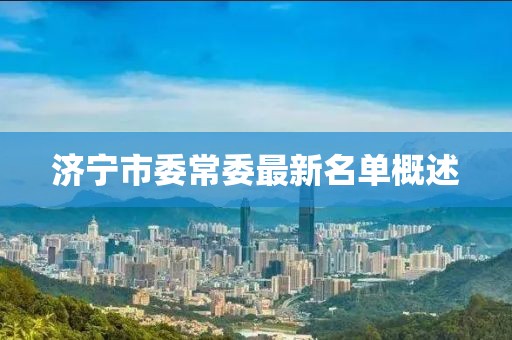 濟(jì)寧市委常委最新名單概述