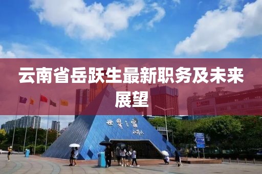 云南省岳躍生最新職務(wù)及未來(lái)展望