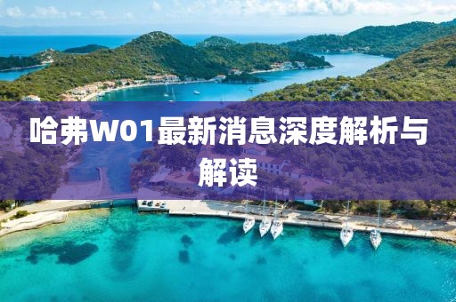 哈弗W01最新消息深度解析與解讀