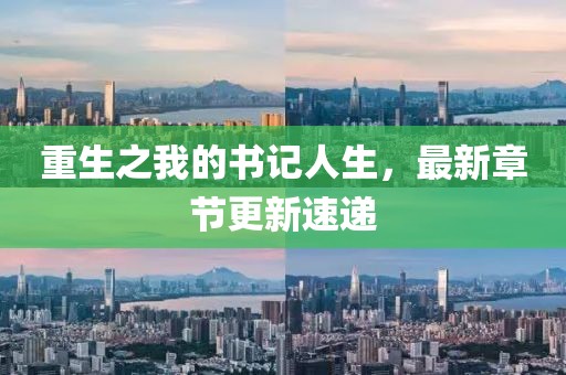 重生之我的書記人生，最新章節(jié)更新速遞