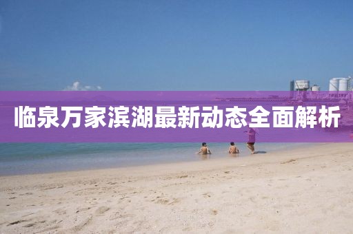 臨泉萬家濱湖最新動態(tài)全面解析