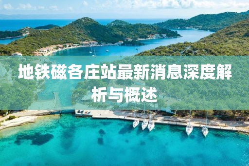 地鐵磁各莊站最新消息深度解析與概述