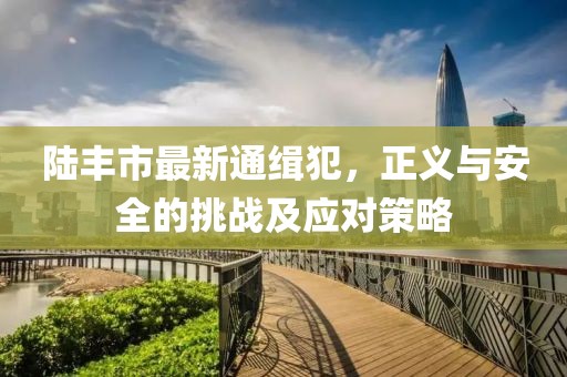 陸豐市最新通緝犯，正義與安全的挑戰(zhàn)及應對策略