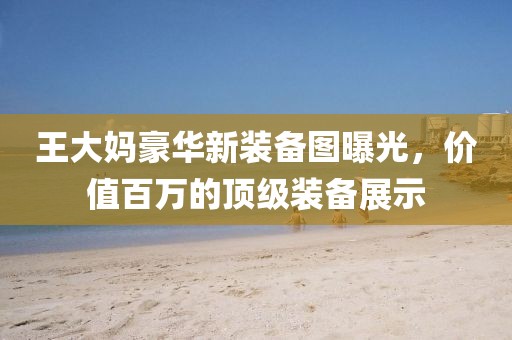 王大媽豪華新裝備圖曝光，價(jià)值百萬的頂級裝備展示
