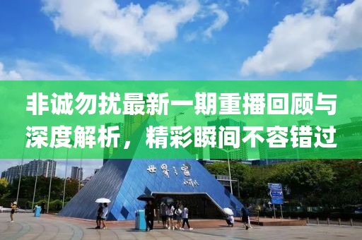 非誠勿擾最新一期重播回顧與深度解析，精彩瞬間不容錯(cuò)過