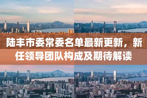 陸豐市委常委名單最新更新，新任領(lǐng)導(dǎo)團(tuán)隊構(gòu)成及期待解讀