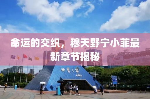 命運(yùn)的交織，穆天野寧小菲最新章節(jié)揭秘