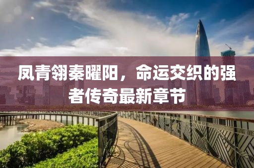 鳳青翎秦曜陽，命運交織的強者傳奇最新章節(jié)