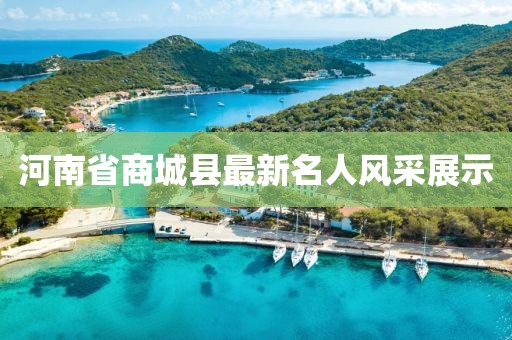 河南省商城縣最新名人風(fēng)采展示