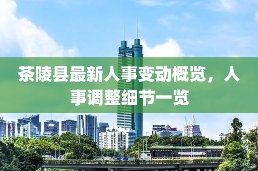 茶陵縣最新人事變動概覽，人事調(diào)整細(xì)節(jié)一覽